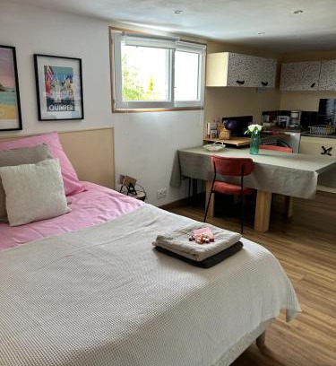 Saint-Jacques-de-la-Lande Appartement | Studio proche parc expo et aéroport