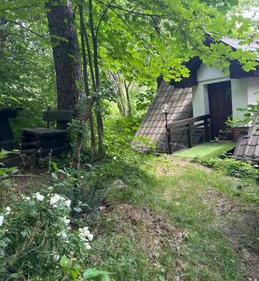 Kamienna Gora Maison | Studio Gościnne ANTEK