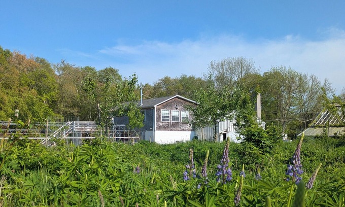 Westport Appartement | Studio guesthouse on our farm in beautiful South Westport.