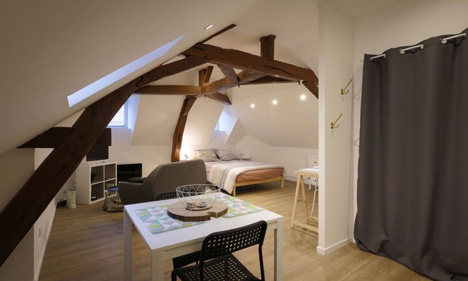La Fleche Appartement | Studio Hyper centre Emeraude ★ ZOO ★ 24h du Mans