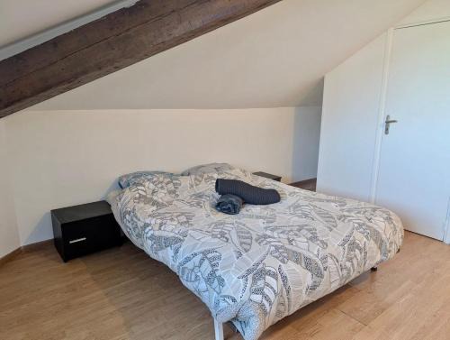 Quartier Chorier-Berriat Appartement | Studio Hyper Centre Quiet and Fully Equipped