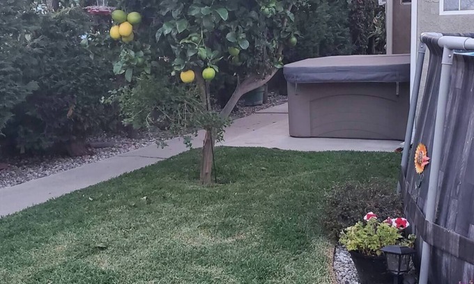 Lawndale Appartement | Studio in Southbay close to the beach SoFi stadium LAX