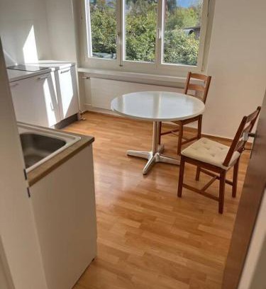 Meilen District Appartement | Studio Jan