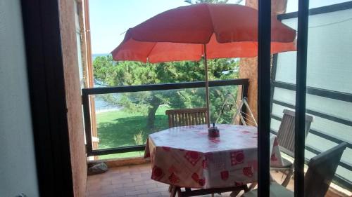 Santa-Lucia-di-Moriani Appartement | Studio les pieds dans l'eau
