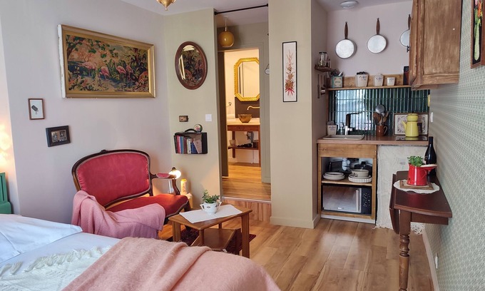 Quartier du chateau Appartement | Studio Nature avec vue sur le château