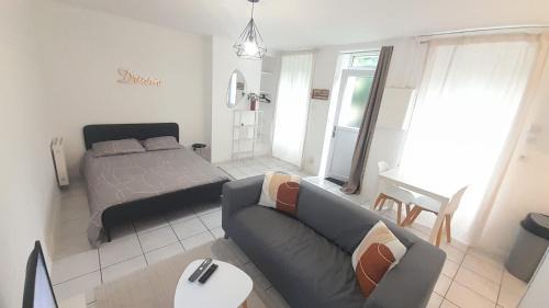 Vierzon Appartement | Studio RDC l'Auron- wifi - cour