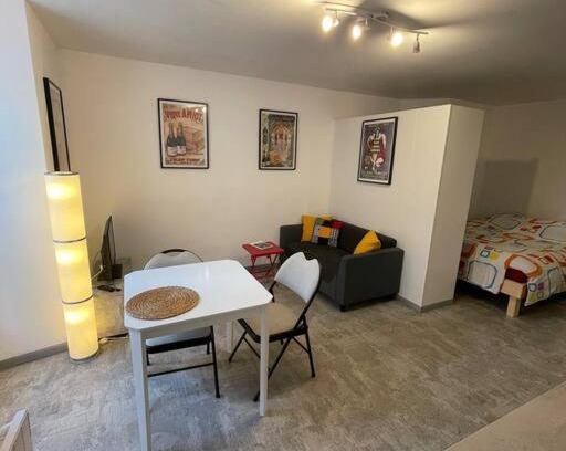 Doue-la-Fontaine Appartement | Studio RdC parking privé gratuit