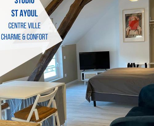 Provins Appartement | Studio Saint Ayoul