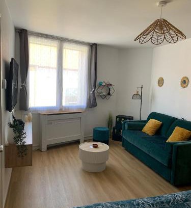 Le Boulou Appartement | Studio spacieux climatisé