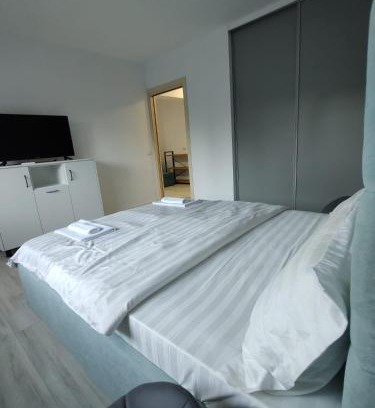 Vata de Jos Appartement | Studio Vata