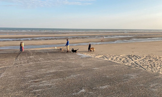 De Panne Appartement | Studio vue sur mer avec piscine interieure.