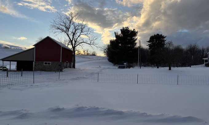 Sodus Appartement | Studio w/kitchen on Alpaca farm Sodus Bay, Wine trails & Brantling ski slope