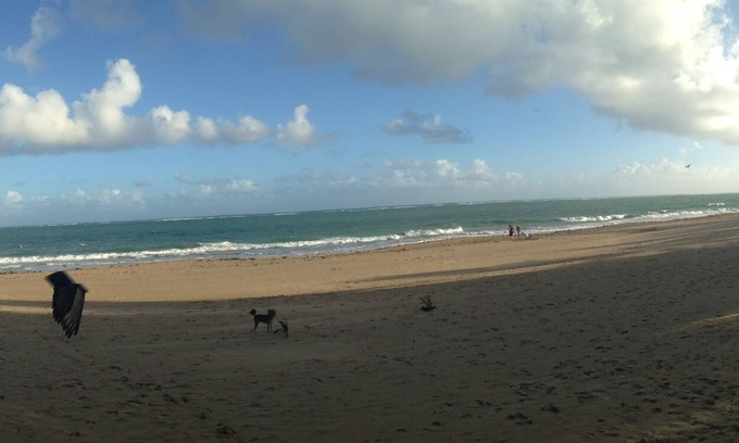 Parque Appartement | Studio @ White House By The Beach, avec beaucoup de soleil et d'air frais!