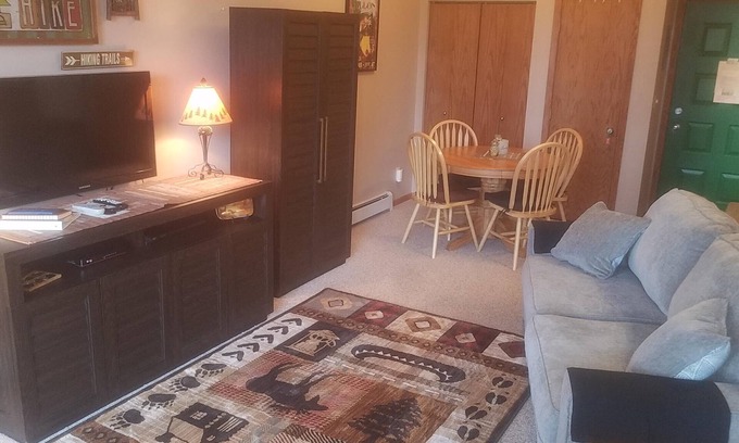 Wildernest Appartement | Studio, Wildernest area Silverthorne Co