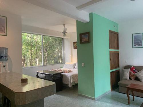 Chemuyil Appartement | Studio with swimming pool at 12 m height over jungle