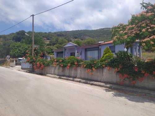 Lesbos Maison | studios ARTEMIS GARDEN