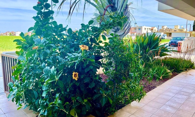 Pervolia Appartement | Stunning 1-bed Apartment in Larnaca Near the sea