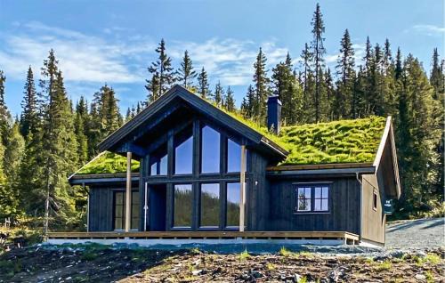 Vinje Maison | Stunning Home In Vinje With Wifi
