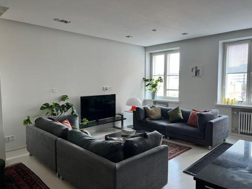 Kallio Appartement | Stylish and spacious 85m2 Hakaniemi Apartment with Market Hall View Next to Metro