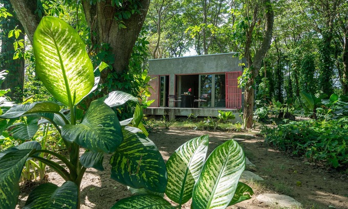Sabaneta de Yasica Cabine | Stylish Jungle Cabin – Riverfront Retreat with Hammocks & Wi-Fi