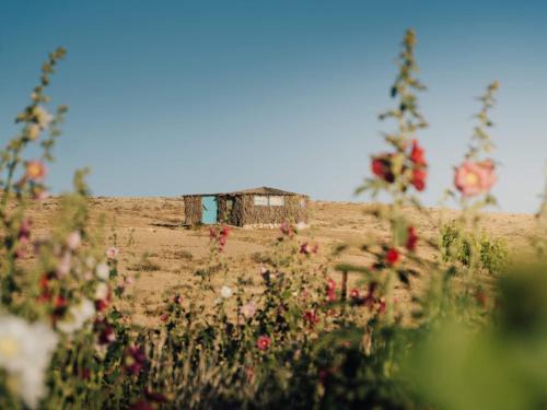 Mitzpe Ramon Cabine | Succah in the Desert