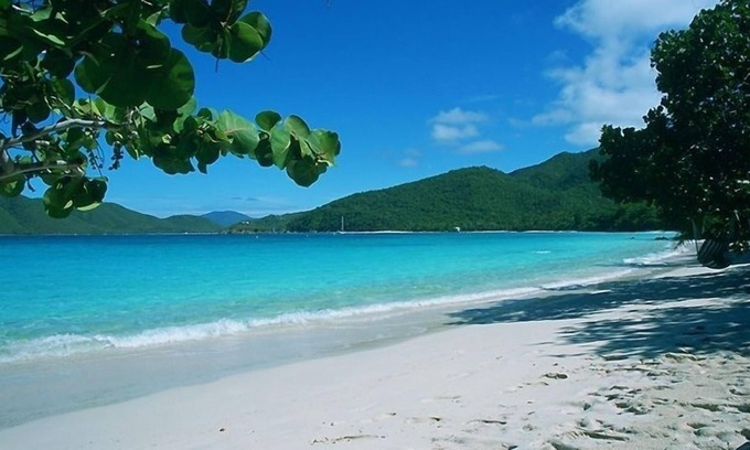 Maho Bay Quarter Maison | Suite sur la plage - Très Rare White Sand Beachfront- coeur du Parc National