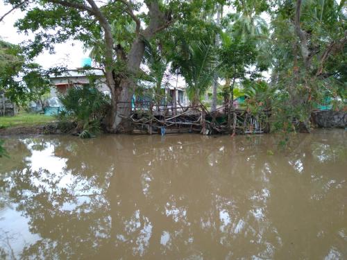 Pottuvil Division 2 Maison | Summer Garden Arugambay