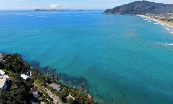 Coromandel Forest Park Maison | Sun-Kissed Shores of Tairua!!