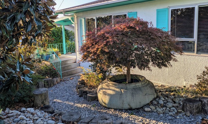 Atawhai Maison | Sunny, Bright & Warm - One Bay View