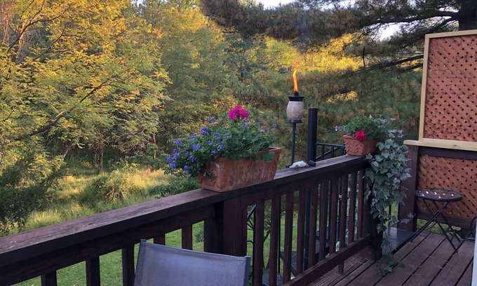 Wheaton-Glenmont Maison | Sunny Peaceful Suburban Washington DC Escape