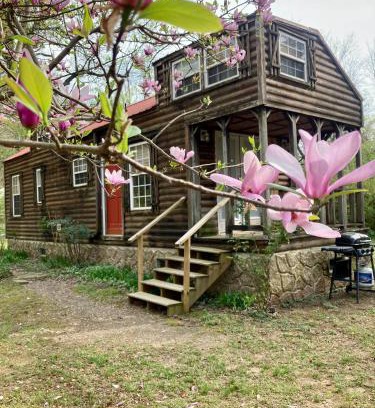 Mena Maison | Sunnybrook Cabin, wooded, private with stream, near ATV trails