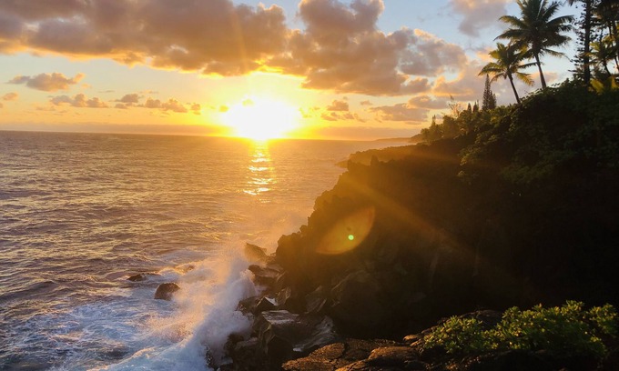 Kapoho Appartement | Sunrise Suite - Oceanfront lodging