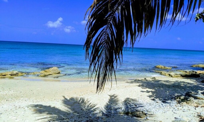 Estate William Cottage | Sunset Beach Oceanfront Cottage