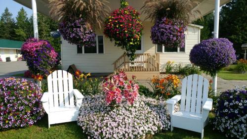 St Ignace Hôtel | Sunset Motel at Armand's Gardens