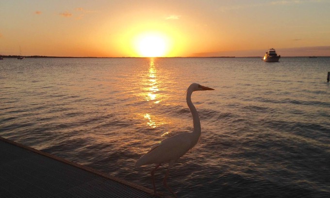 Key Largo Copropriété | "Sunset Serenity" Réservez maintenant pour vos vacances d'été! Vue sur la baie depuis le balcon!