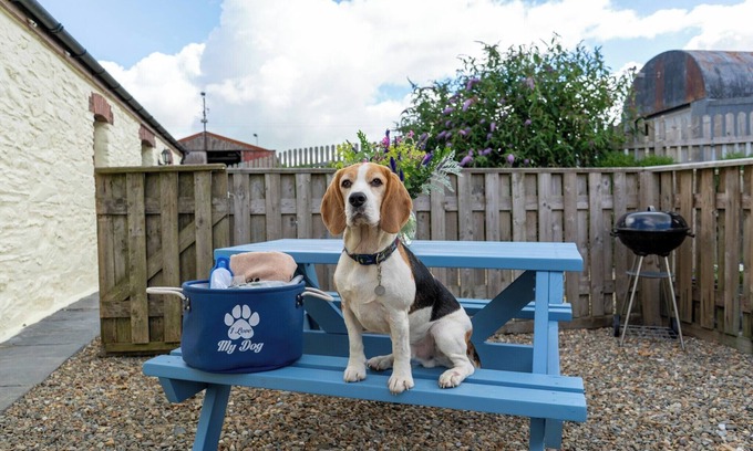 Crymych Maison | Super dog friendly barn conversion - sleeps 6 plus unlimited dogs