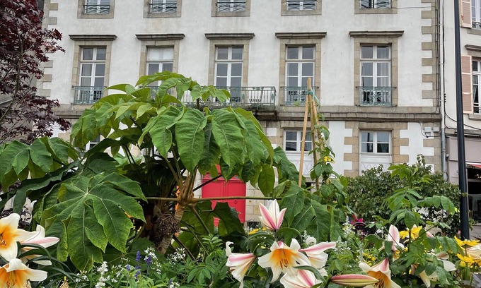 Morlaix Maison | Superbe appartement pleine vue sur le port de Morlaix