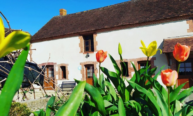 Mennetou-sur-Cher Maison | Superbe longère 6 personnes avec piscine proche Beauval, chateaux de la Loire