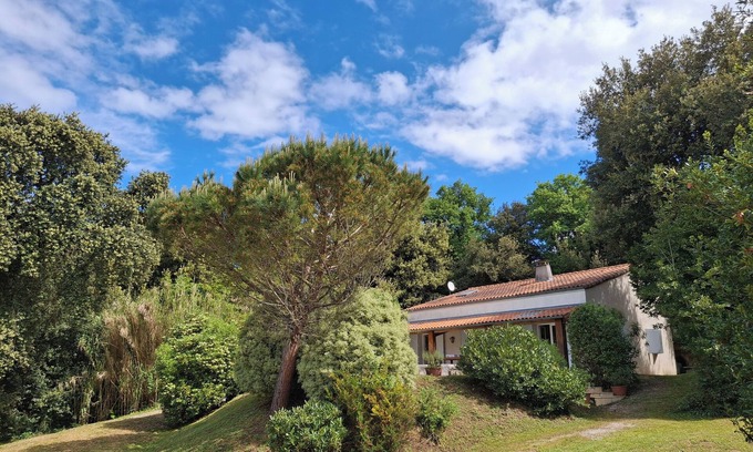 Meschers-sur-Gironde Villa | Superbe Villa pour 12 /14 Personnes - Piscine chauffée - Plage toute proche
