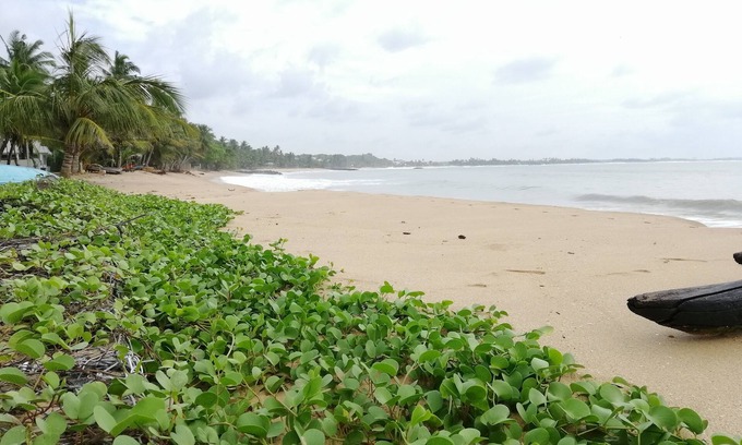 Tangalle Hôtel | Chambre Supérieure de Luxe avec Vue sur la Mer by Mars Hotel Tangalle