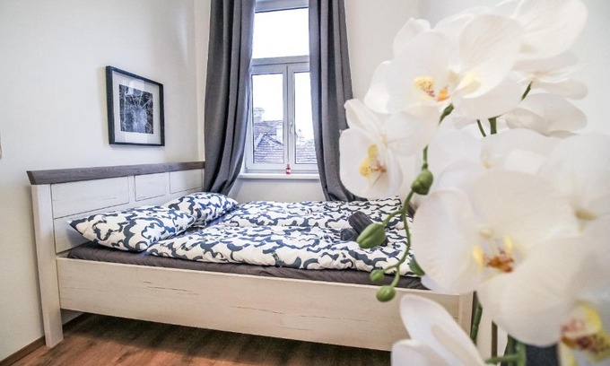 Liesing Appartement | Superior Double room LV b