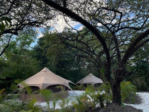 Mal Pais Autre | SurFreak Backyard Glamping CoWorking Experience