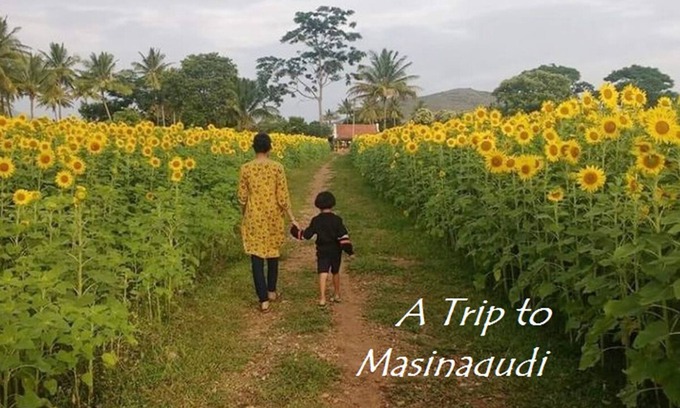 Masinagudi Maison | Entouré de verdure vue Home Stay @ masinagudi