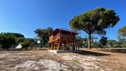 Palmela Chalet De Ski | Suspended Wooden House - Monte da Cortiça