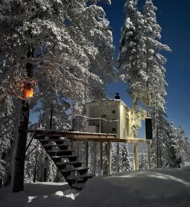 Arvidsjaur Municipality Maison | Swedish Treehouse