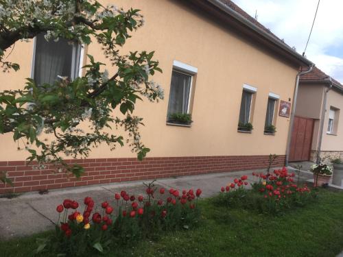 Morahalom Appartement | Szundivendégház