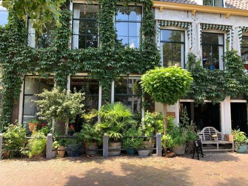 Schiedam Appartement | 't hart van Schiedam