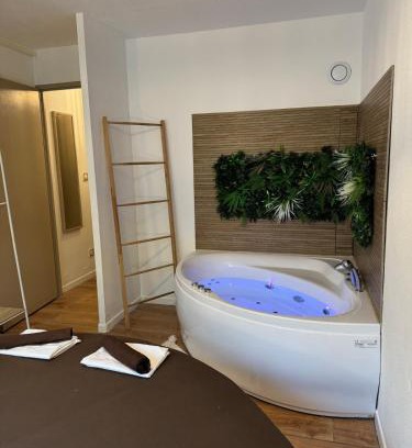 Tournefeuille Appartement | T2, Balneo, sauna, lit rond, jeux arcades, parking