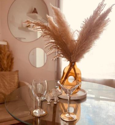 Le Raincy Appartement | T2 Paris le raincy cosy