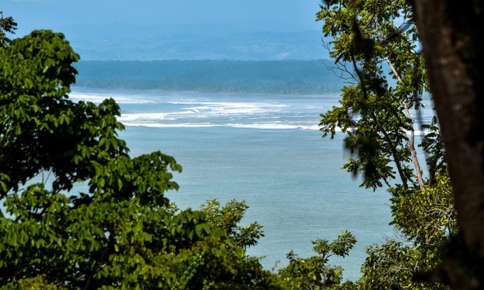 Manuel Antonio Station Balnéaire | Tabulia Tree Hotel and Villas